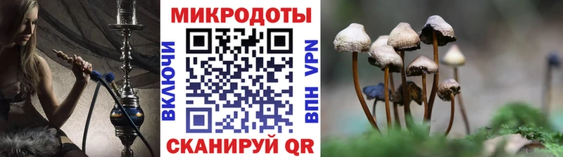 Галлюциногенные грибы GOLDEN TEACHER  Шимановск 